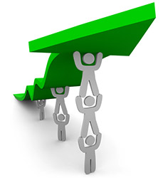 Our services